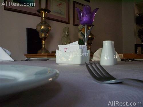 Jasmine Hotel Apts 9